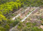 Земљиште у Лустици се продаје за изградњу виле
