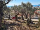 Парцел в бар 620 м2 с панорамна гледка към морето и маслинови дървета