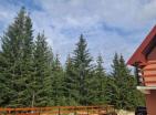 Nouvelle maison en bois de 120 m2 à Zabljak dans un endroit calme à côté de la forêt