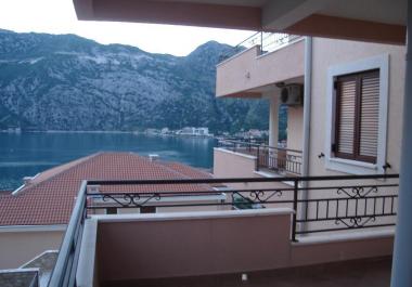  Blej banesë në Risan