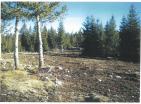 Tokë ekskluzive malore për fermën e gjuetisë 19720 m mes natyrës Së pacenuar Durmitor