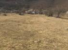 Gran terreno de 218 000 m2 en Grahovo para agricultura