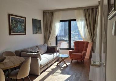 Nuovissimo appartamento di 46 m2 a Kolasin