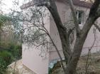 Продато : Нови дом у бару, Burtaiši у зеленом шумарцима маслина