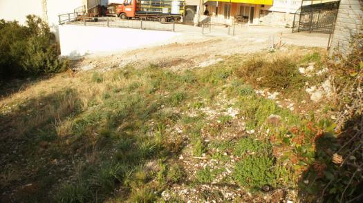 2 terreni in Uteha per la costruzione di una destinazione turistica, la seconda riga